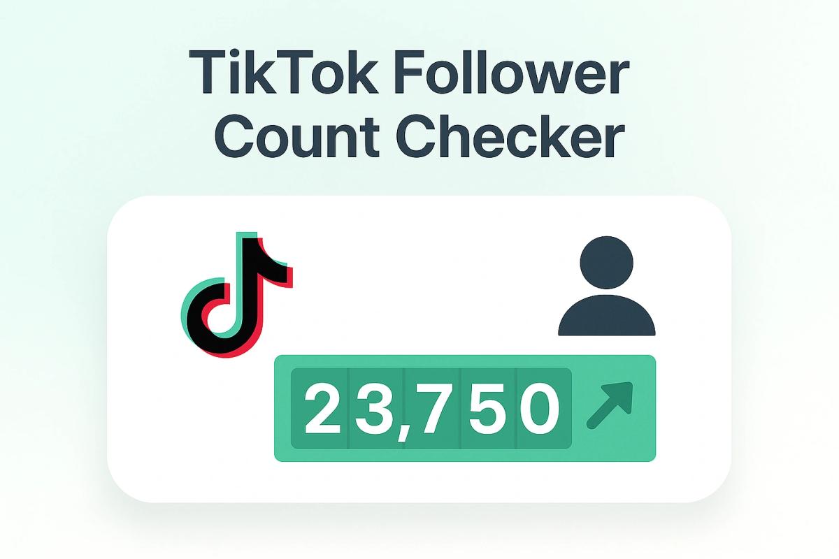 TikTok Follower Count Checker